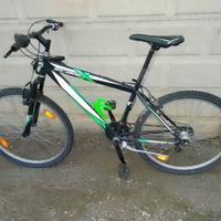 Biciclette mountain-bike