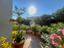 Immagine 14