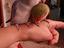 Immagine 1
