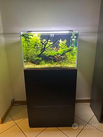 Acquario
