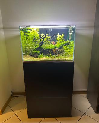 Acquario