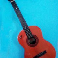 Chitarra Eko