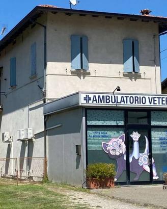 Casa indipendente di 456 m² con più di 5 locali e 