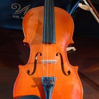 Violino