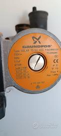 Pompa circolatore Grundfos