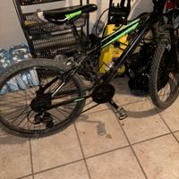 MTB Marangoni Kuster