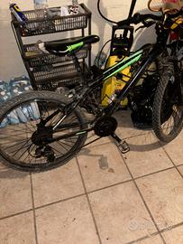 MTB Marangoni Kuster