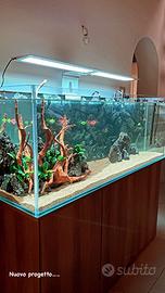 Acquario completo 450 litri