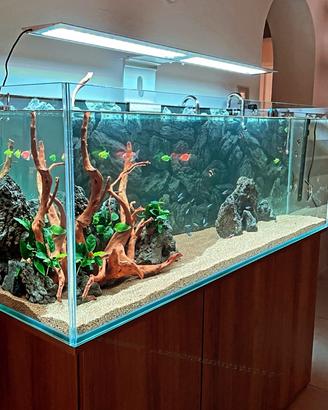 Acquario completo 450 litri