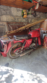 Moto Guzzi Lodola
