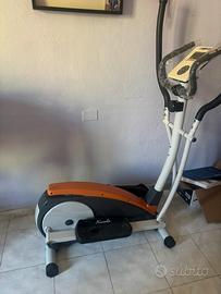 Ellitica Lineaflex koala