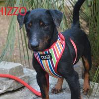 Schizzo 5 anni taglia piccola