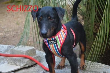 Schizzo 5 anni taglia piccola