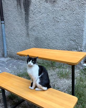 Tavolo alto in legno