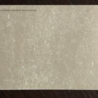 Librerto istruzioni Hasselblad SWC