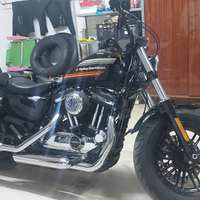 Harley davidson forty eight special