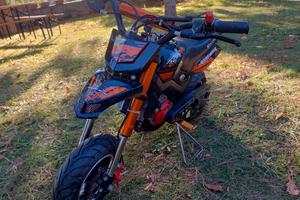 Mini Motard NITRO 50CC HOBBIT 