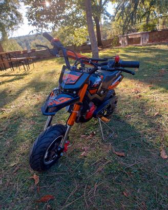 Mini Motard NITRO 50CC HOBBIT 