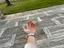 Immagine 6