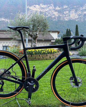 Bici Road Rose