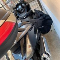 silver wing incidentato 