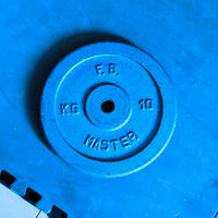 4 Dischi Palestra Pesi in ghisa da 10 kg foro 25mm