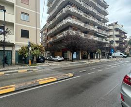Pescara traversa di Viale Muzii bilocale
