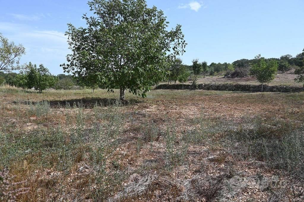 Terreno di 13800 m² a Alberobello - Vista 4