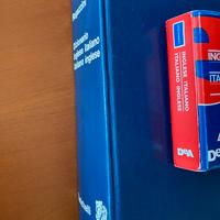 Il Ragazzini. Dizionario inglese-italiano-inglese