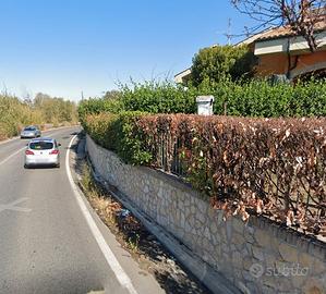 Guidonia bilocale con giardino