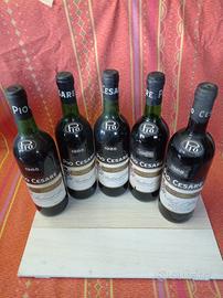 PIO CESARE 1985 , 1988 collezione 