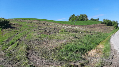 Terreno a Cuccaro monf