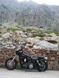 Harley Davidson Street Bob 2010