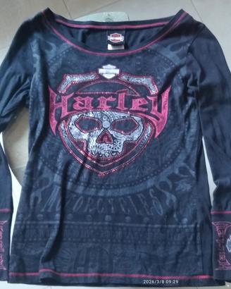 Harley Davidson 