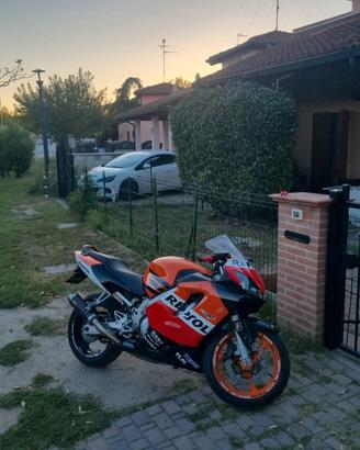 honda cbr 600