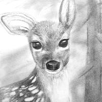 Disegni a matita animali della foresta