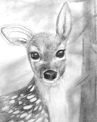 Disegni a matita animali della foresta