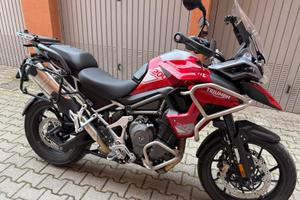 TIGER 1200 GT PRO 2025