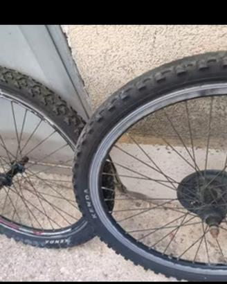 Copertone bici