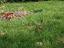 Immagine 14