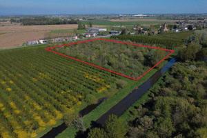 RGE 7/2019 Tribunale di Verona - Lotto 2)