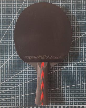 racchetta da ping pong 5 stelle