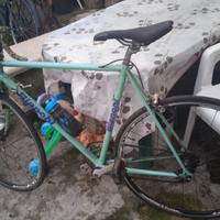 bianchi 28 