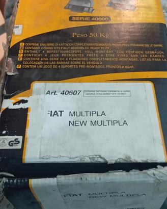 portapacchi x multipla 