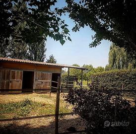 Maneggio immerso nel verde tra Bologna e Ferrara