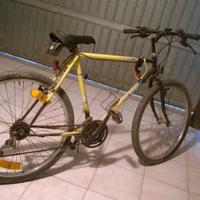 bicicletta 26