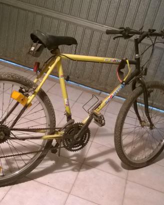 bicicletta 26