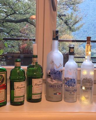 Bottiglie vodka Belvedere vuote