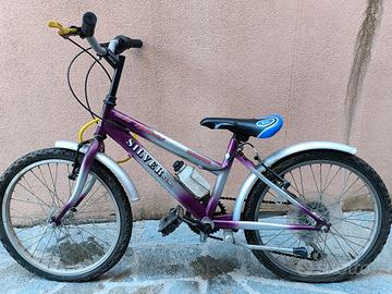 Bicicletta 