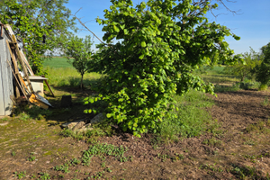 Terreno ad uso orto a oviglio (Al)